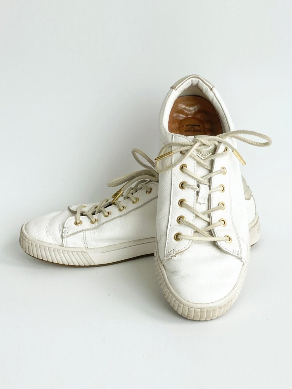 Sperry Top Sider Leather Sneakers with Suede Laces